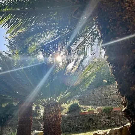 Liselotte インペリア