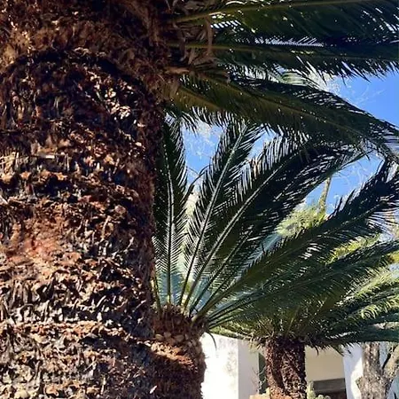 Villa Liselotte Imperia